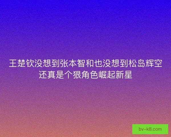 王楚钦没想到张本智和也没想到松岛辉空还真是个狠角色崛起新星 王楚钦没想到张本智和也没想到松岛辉空还真是个狠角色崛起新星