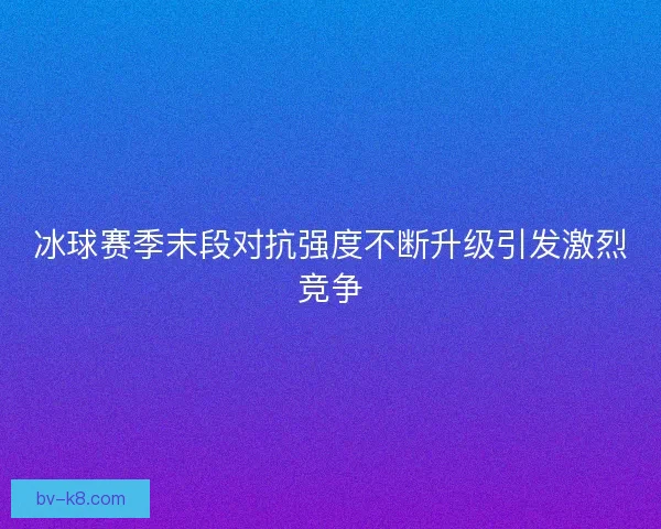 冰球赛季末段对抗强度不断升级引发激烈竞争