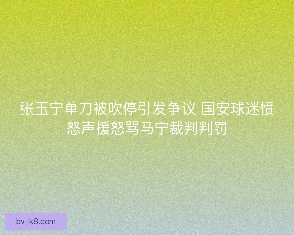 张玉宁单刀被吹停引发争议 国安球迷愤怒声援怒骂马宁裁判判罚