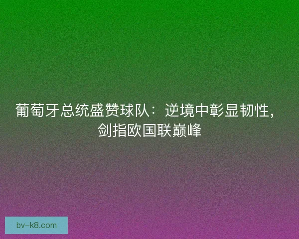 葡萄牙总统盛赞球队：逆境中彰显韧性，剑指欧国联巅峰